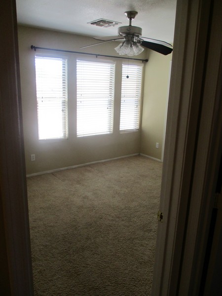 IMG_2533 IMG_2533