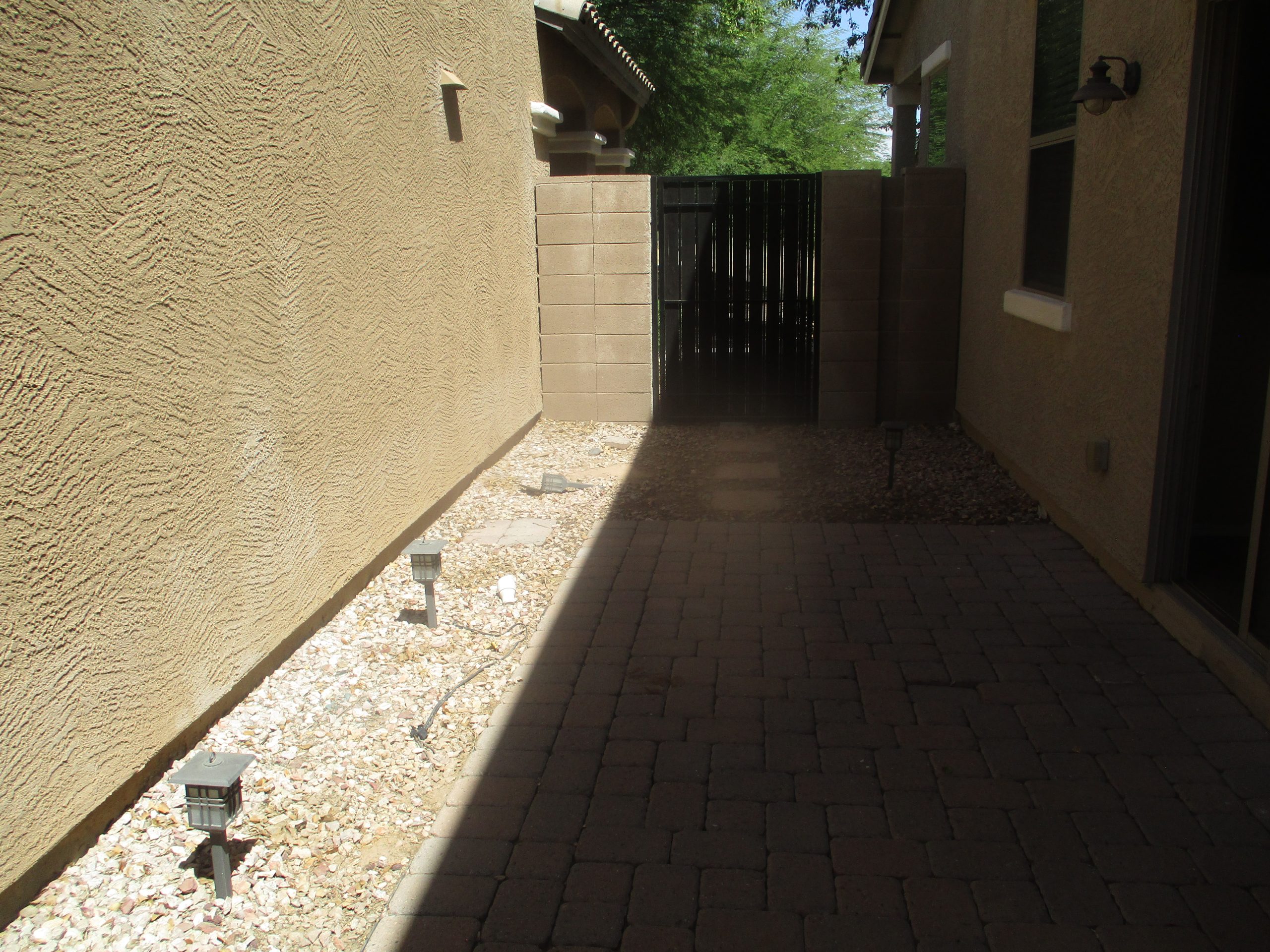IMG_7565 IMG_7565